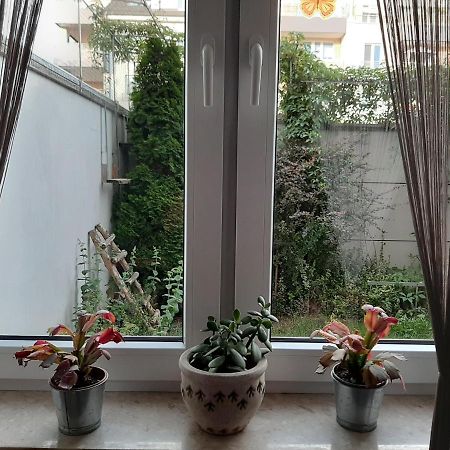 Apartament Di Trevi - Klimatyzacja Lejlighed Wrocław Eksteriør billede